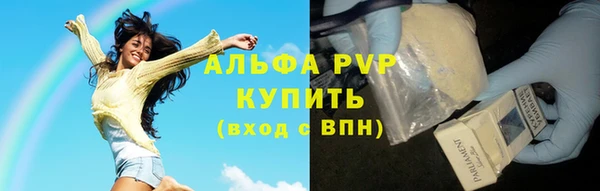 гидра Баксан