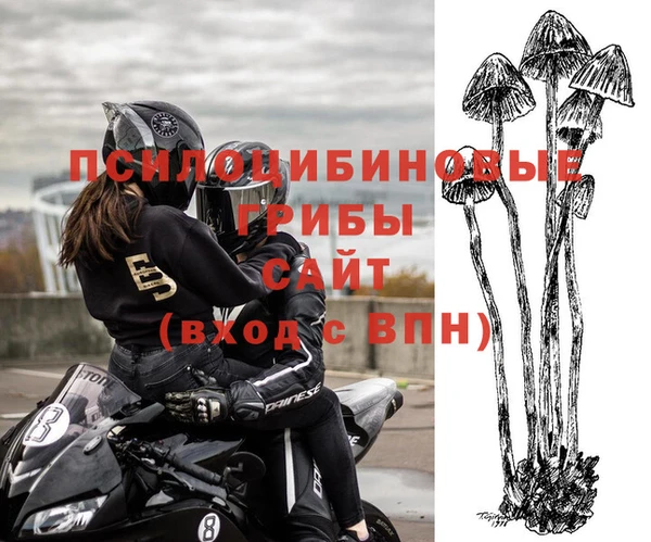 гидра Баксан