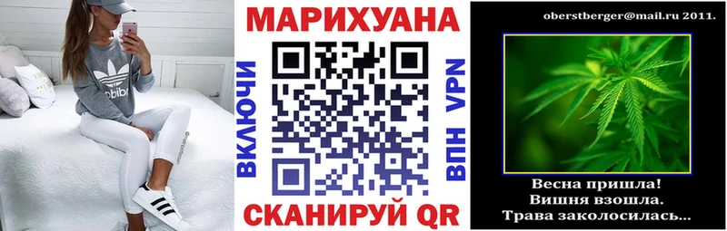 Канабис White Widow  магазин продажи наркотиков  МЕГА зеркало  Ивангород 